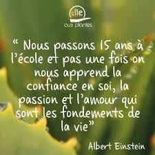Nous Passons 15 Ans A L Ecole Et Pas Une Fois On Ne Nous Apprend La Confiance En Soi La Passion Et L Amour Qui Sont Confiance En Soi Citation Citation Ecole