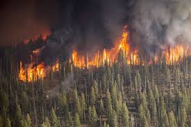 However, campfires can turn into dangerous and costly wildfires because people leave them unattended, or people build. 14 Worst Wildfires In Us History Earth Org Past Present Future