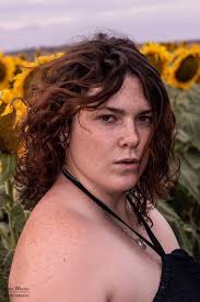 Sunflower fields Toowoomba