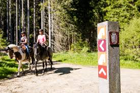 Die pressemitteilung mit dem titel: Wanderreithof Kern Reiturlaub