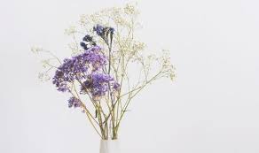 Maybe you would like to learn more about one of these? How Long Do Dried Flowers Last Express Co Uk