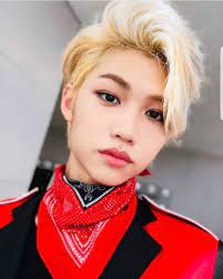 Quizz Quel Membre De Stray Kids Es Tu Quiz Tests De Personnalite Felix Stray Kids Stray Felix