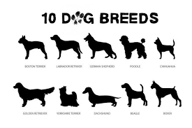 dog breeds porody sobak sobaki