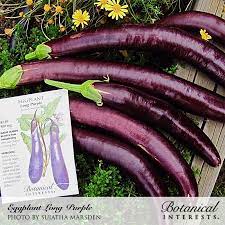 Long Purple Eggplant Seeds View All Vegetables Botanical Interests Eggplant Seeds Long Purple Eggplant Eggplant