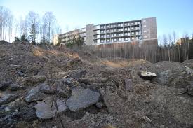 Kvikkleire er leire som ved overbelastning eller omrøring går over fra sin vanlige faste tilstand og blir kvikkleire er avsatt i hav og hadde derfor under avsetningen saltvann som porevann mellom. Varingen Kvikkleire