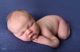 Little Fawn Photography