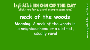 Pin By Anna B On Idiom Of The Day English Vocabulary Words Learn English Idioms