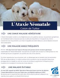 L'examen peut révéler des modifications des cellules du tissu qui recouvre. Antagene Fotos Facebook