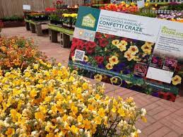 Gardening supplies, fertilizer, shrubs, grasses, herbs, seasonal stock, flowers of all varieties, gardening and lawn. O Toole S Garden Center Littleton 13 Photos 50 Reviews Nurseries Gardening 5201 S Federal Blvd Littleton Co United States Phone Number Yelp