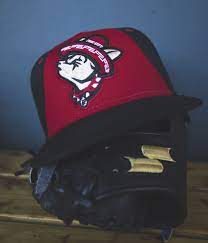 New Era 5950 Official On Field Alternate Chihuahuas Cap Chihuahua Dog Logo New Era
