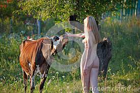 Schönes Nacktes Mädchen Auf Der Sommerwiese Mit Einer Kuh Stockfoto - Bild  von tageslicht, sommer: 85036564