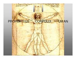 Anatomia umană este ramura anatomiei care studiază alcătuirea corpului uman. Pdf Anatomie Artistica About Saint John Maximovici Academia Edu