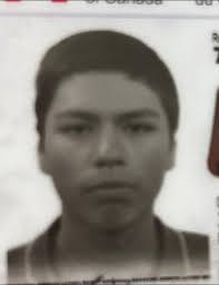 Two kittens found in the house after a night out