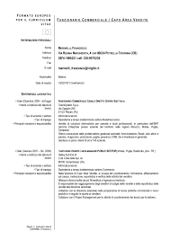Cv Funzionario Commerciale Area Manager Luglio 2015