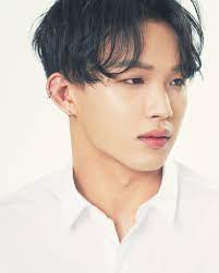 His specialities are vocals, composition, writing of lyrics and playing the guitar and the piano. Im Hyun Sik Btob Profile Songs Abs And Facts Channel K