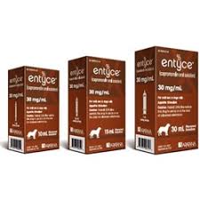 Entyce Appetite Stimulant Oral Solution For Dogs 30mg Ml 15 Ml