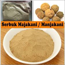 Jamu (herbal medicine) sebagai salah satu. Serbuk Bubuk Majakani Manjakani Murni Untuk Kewanitaan Keputihan Dll Isi 10gr Shopee Indonesia