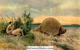 The cambrian marked a boom in evolution in an event known as the cambrian explosion in which the largest number of creatures evolved in any single period of the history of the earth. Ø§Ù„ÙØ±Ù‚ Ø¨ÙŠÙ† Ø§Ù„Ø¹ØµØ± Ø§Ù„Ø­Ø¬Ø±ÙŠ Ø§Ù„Ù‚Ø¯ÙŠÙ… ÙˆØ§Ù„Ø¹ØµØ± Ø§Ù„Ø­Ø¬Ø±ÙŠ Ø§Ù„Ø¬Ø¯ÙŠØ¯ Ø§Ù„Ø¹ØµØ± Ø§Ù„Ø­Ø¬Ø±ÙŠ Ø§Ù„Ù‚Ø¯ÙŠÙ… Ù…Ù‚Ø§Ø¨Ù„ Ø§Ù„Ø¹ØµØ± Ø§Ù„Ø­Ø¬Ø±ÙŠ Ø§Ù„Ø¬Ø¯ÙŠØ¯ 2021 Ø§Ù„Ù†Ø§Ø³