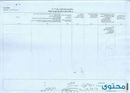 استعلام عن سجل تجاري بالاسم في مصر 2021 موقع محتوى