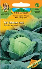 Image result for hlávková kapusta
