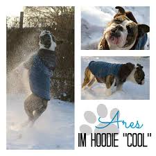 Deshalb ist er auch ruck zuck genäht und eignet sich besonders für. Freebook Hundehoodie Cool Pdf Kostenfreier Download