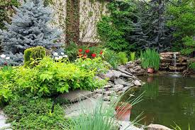 Image result for garden pond ideas