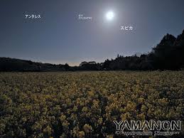 每年4月5日前后为清明节。 清明是，天气转暖，人民常常结伴到郊外踏青，欣赏春光。 农历五月初五是端午节。 一般认为，它是纪念古代爱国诗人屈原而产生的。 公元前278年，秦兵攻陷楚城，屈原于着年五月投江自尽；江边群众得知后，纷纷架舟打捞屈原尸体。 B4lw5qune4aowm