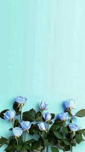 Beautiful Flowers Blue Flower Wallpaper Flower Background Wallpaper Blue Flowers Background
