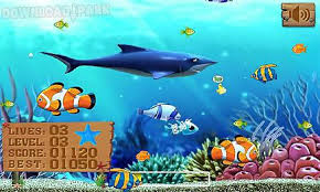 Shockwave games range from car racing to fashion, jigsaw puzzles to sports. Big Fish Eat Small Games Android Juego Gratis Descargar Apk