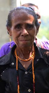 Timor-Leste Safety, Security, and Justice Perceptions Survey, 2022