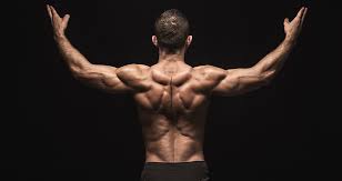 In order to best help your clientele, it's important for coaches to understand the muscles of the back, what can cause back pain. 5 Workouts To Build A Ripped Lower Back Generation Iron