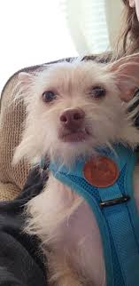 This is Luke...he likes to hang out