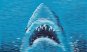 Image result for jaws