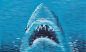 Image result for jaws