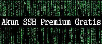 Ssh biznet free / review neo cloud (biznet gio) versi beta. Akun Ssh Premium Untuk Internetan Gratis Paketaninternet Com