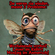 Pin Von Karola Auf Montag Lustige Songtexte Memes Humor Wochenende Lustig