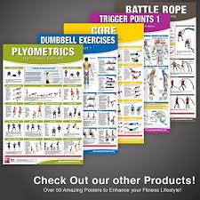 Trigger Point Therapy Chart Poster Set Acupressure Charts Myofascial Trigger Points Massage Therapy Charts Muscle Pain Relief Posters