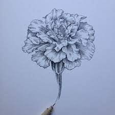 Noel Badges Pugh Carnation Flower Tattoo Birth Flower Tattoos Flower Tattoo Arm