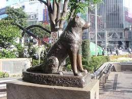 Fry S Dog Seymour Is Based Off A Real Dog Named Hachikō Who Waited For His Master For 10 Years Akita Dog Dog Statue Akita