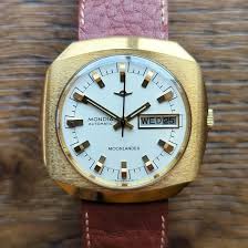 Image result for Mondia