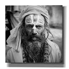 Dakota Fields Succulent On Canvas by Gary Horsfall Print