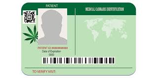 1,000+ vectors, stock photos & psd files. What Are The Benefits Of A Medical Cannabis Card In Legal States Marijuana Card Clinic