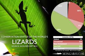 chart conservation status of the worlds lizards and snakes