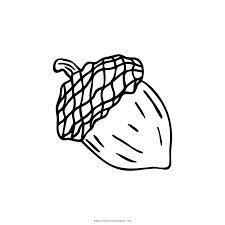 Download and print free acorn coloring pages to keep little hands occupied at home; Acorn Coloring Page Ultra Coloring Pages