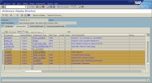 The Fi Line Item Browsers Part 3 Additional Fields From Base And Master Data Tables Sap Blogs