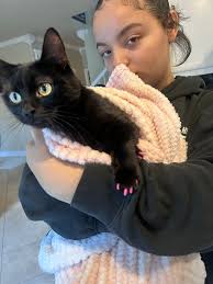 FINDERS CONTACT INFO. IN LINK