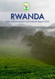 Image result for Vittaria reekmansii