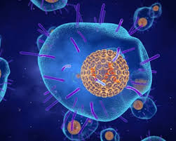 Shingles vaccine linked to lower risk of heart attack and stroke, study finds - The Guardian