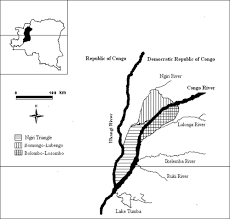 Image result for Thomandersia laurentii