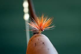 This section contains a wide range of dry fly tying videos and instructions showcasing some great dry fly patterns. My Favorite Dry Fly For Mountain Brook Trout Orvis News
